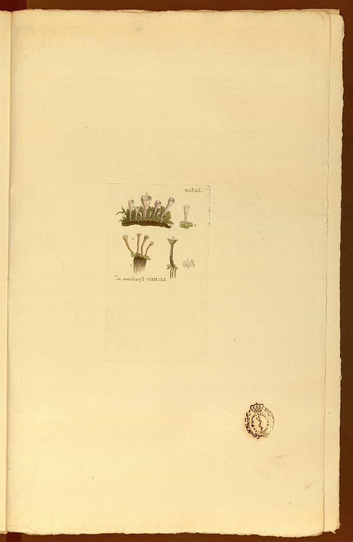 no HD illustration available (m5)
