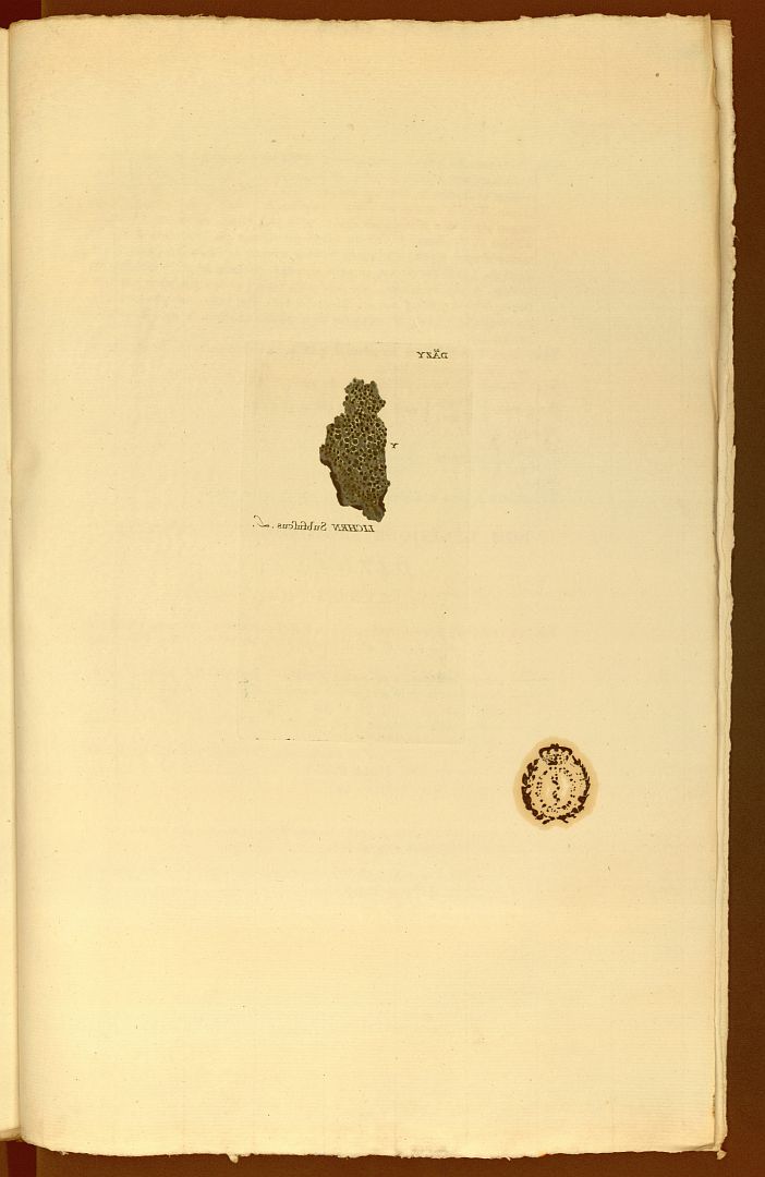 no HD illustration available (m5)