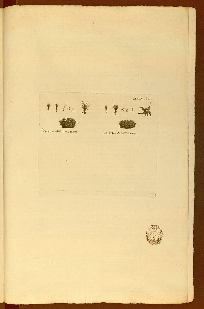 no HD illustration available (m5)