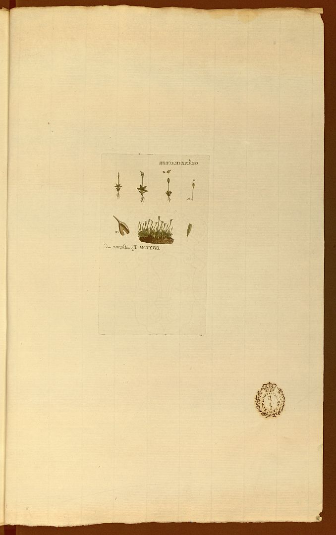 no HD illustration available (m5)
