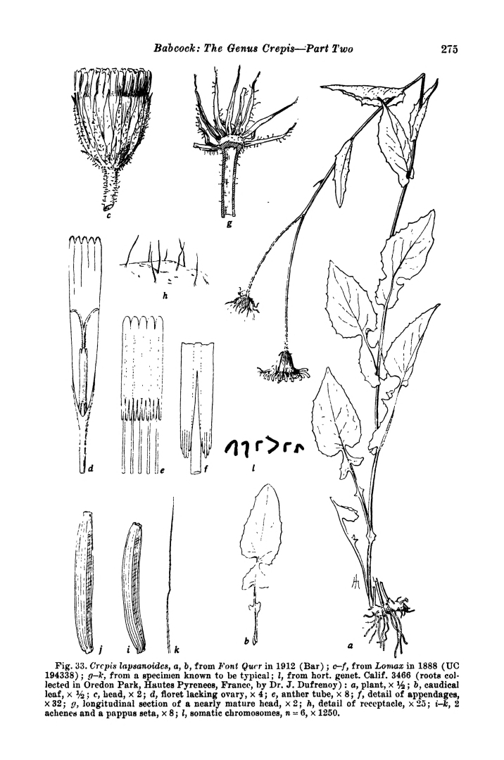 no HD illustration available (m5)