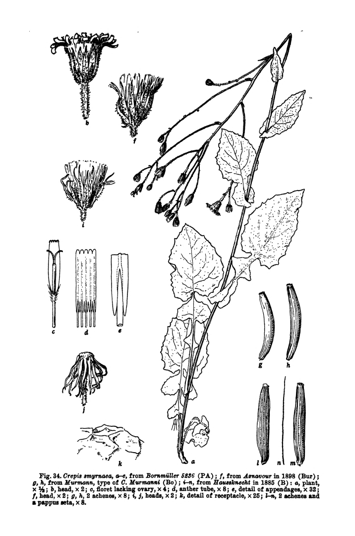 no HD illustration available (m5)