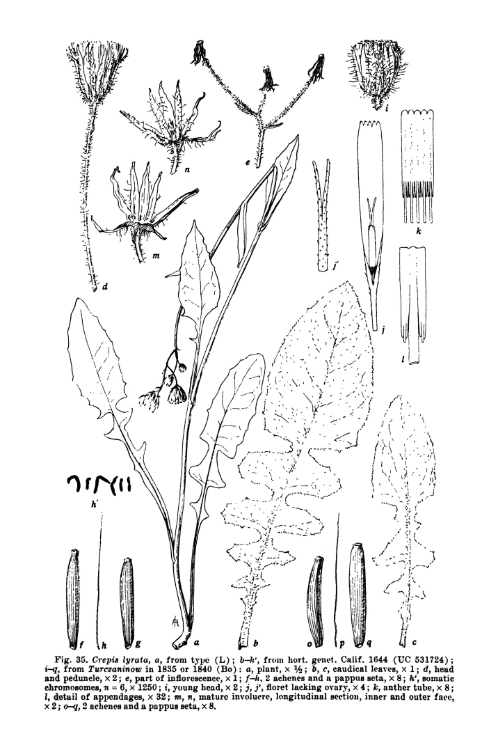 no HD illustration available (m5)