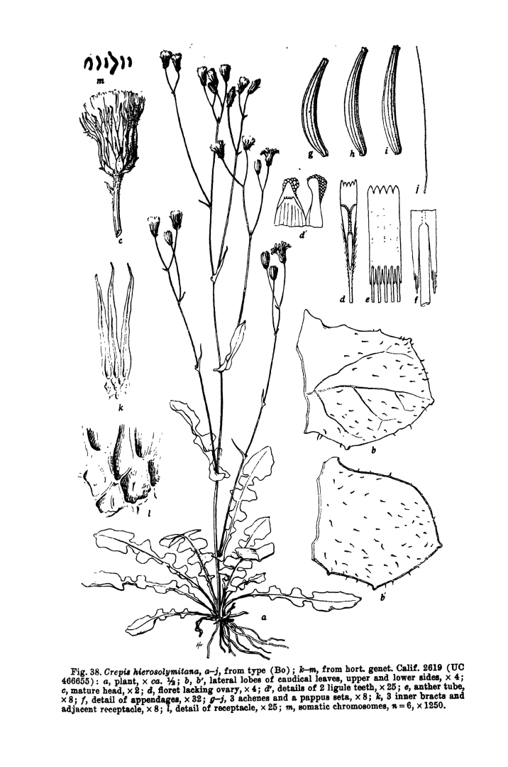 no HD illustration available (m5)