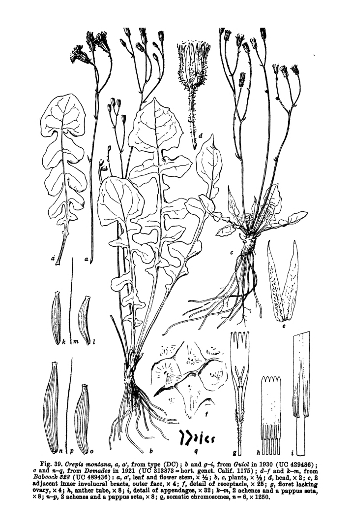 no HD illustration available (m5)