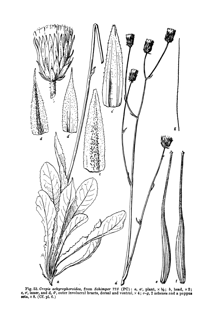 no HD illustration available (m5)