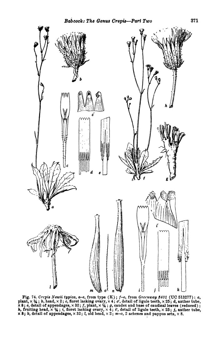 no HD illustration available (m5)