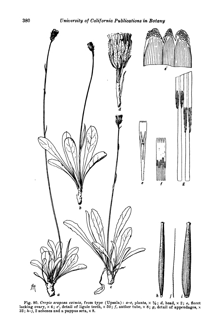 no HD illustration available (m5)