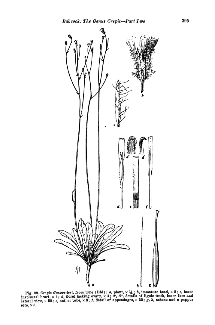 no HD illustration available (m5)