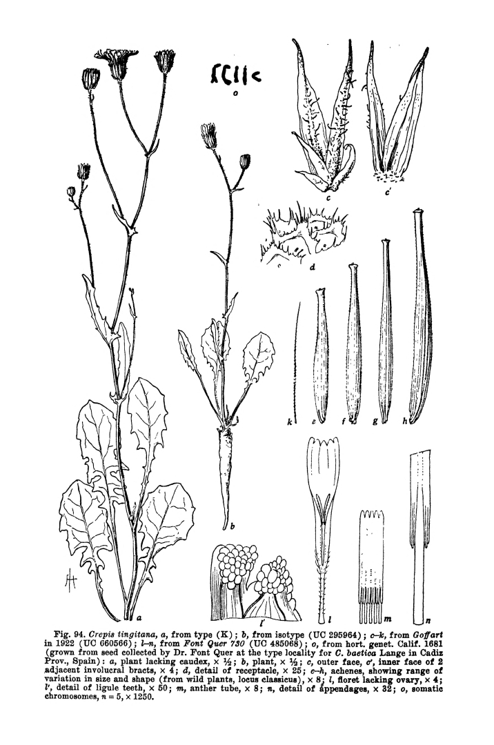 no HD illustration available (m5)