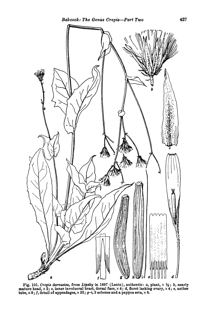 no HD illustration available (m5)