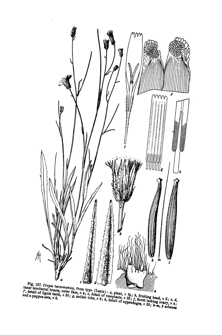 no HD illustration available (m5)