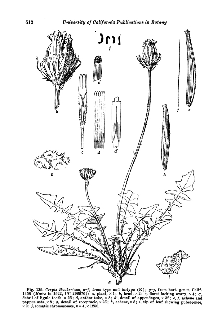 no HD illustration available (m5)