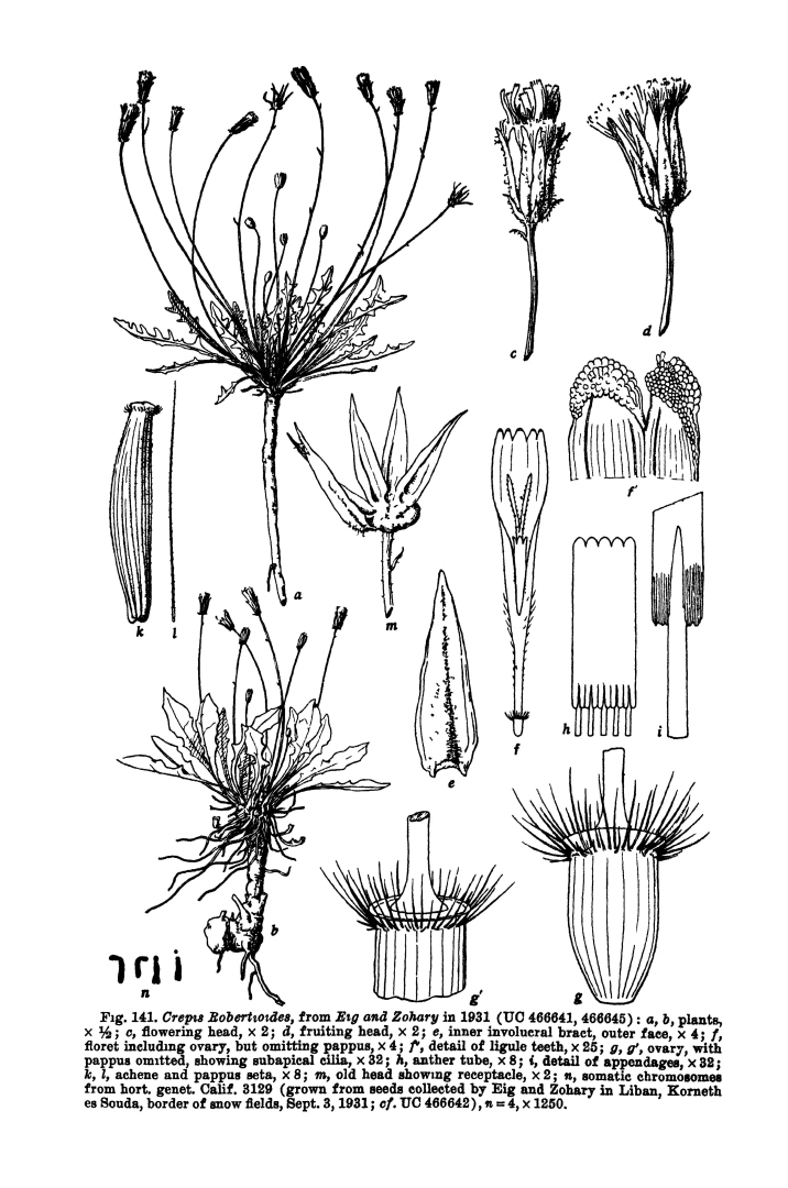 no HD illustration available (m5)