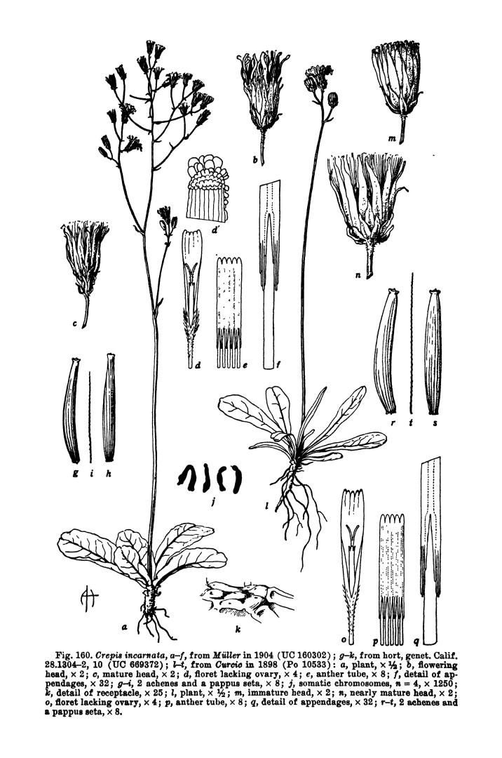 no HD illustration available (m5)