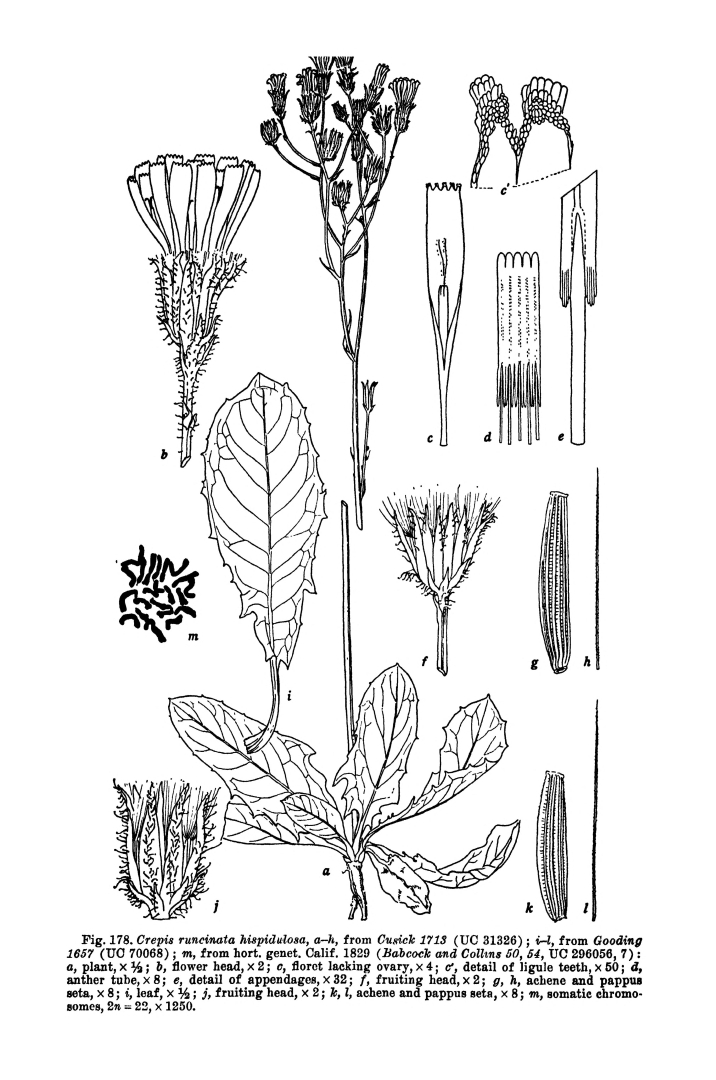no HD illustration available (m5)