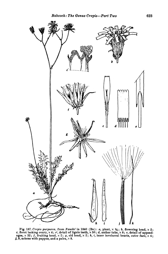 no HD illustration available (m5)