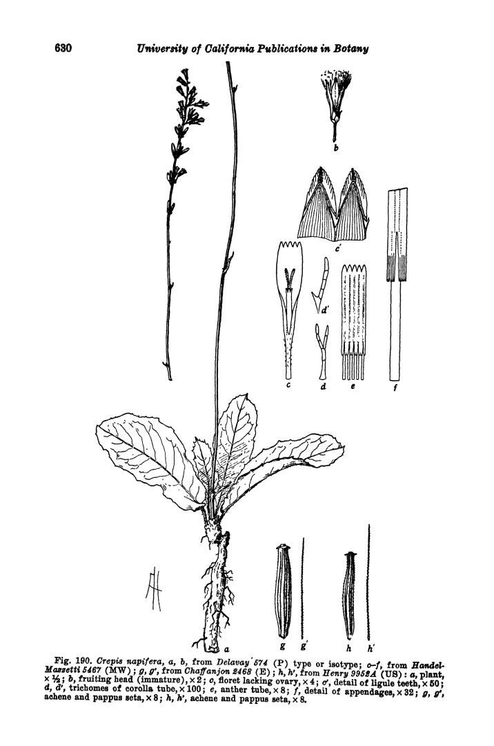 no HD illustration available (m5)