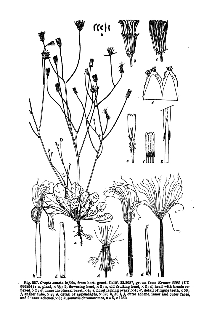 no HD illustration available (m5)