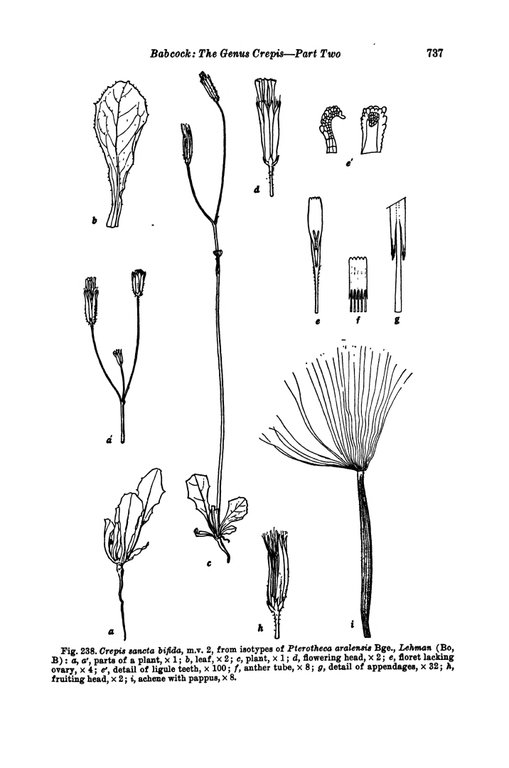 no HD illustration available (m5)