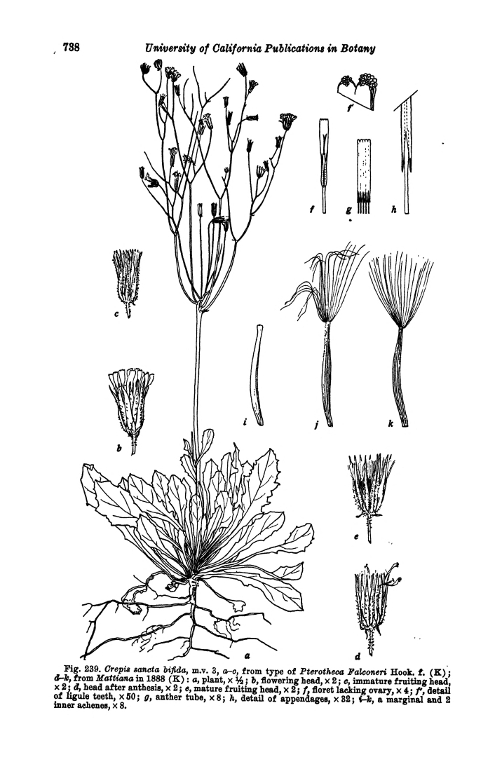 no HD illustration available (m5)