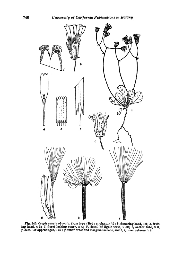 no HD illustration available (m5)