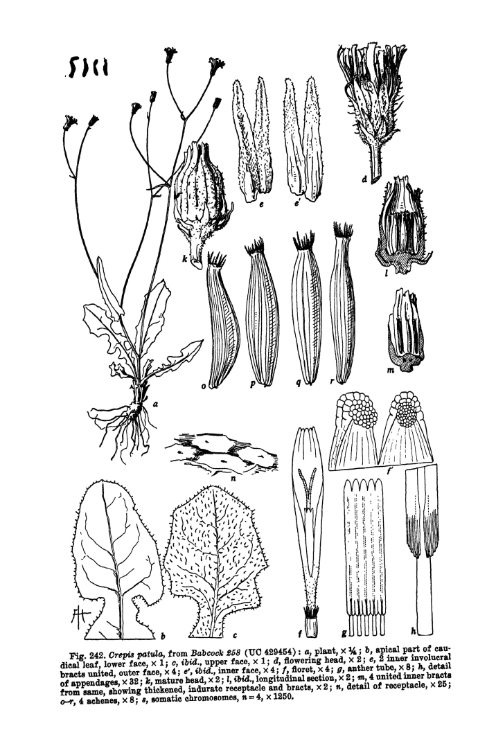 no HD illustration available (m5)