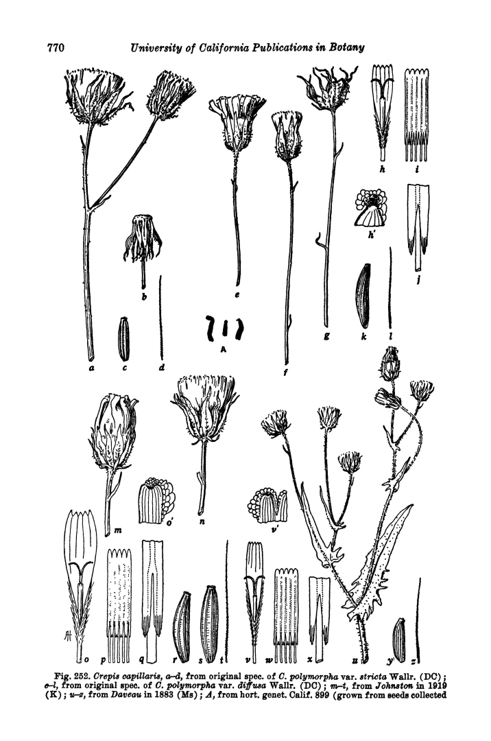no HD illustration available (m5)