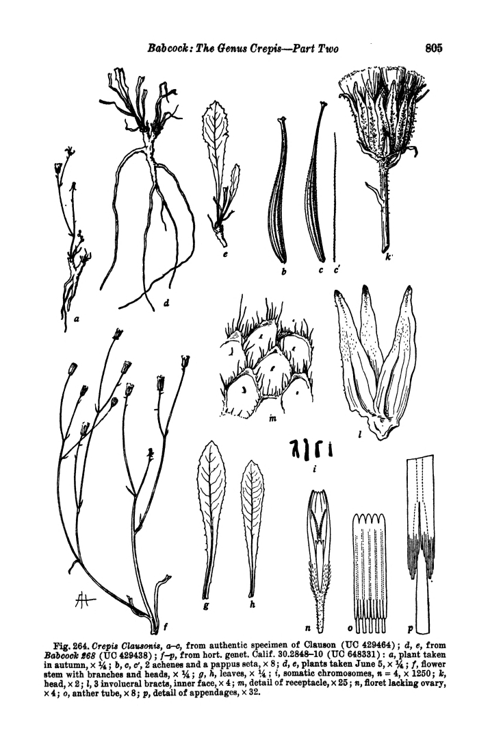 no HD illustration available (m5)