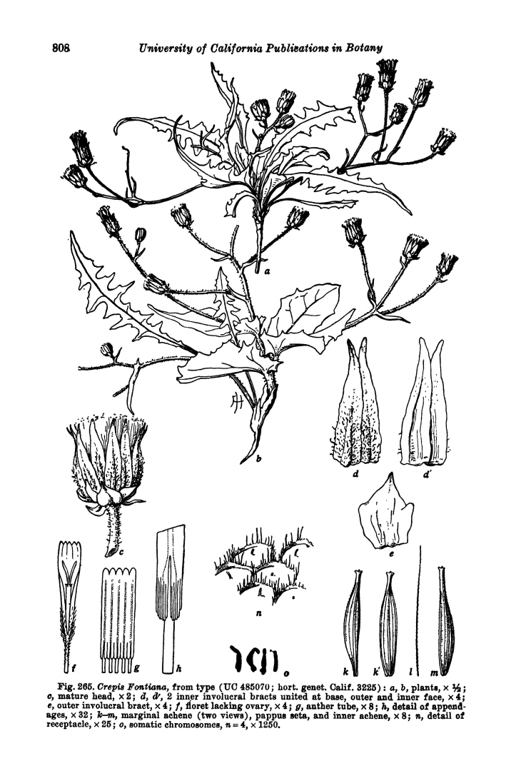 no HD illustration available (m5)