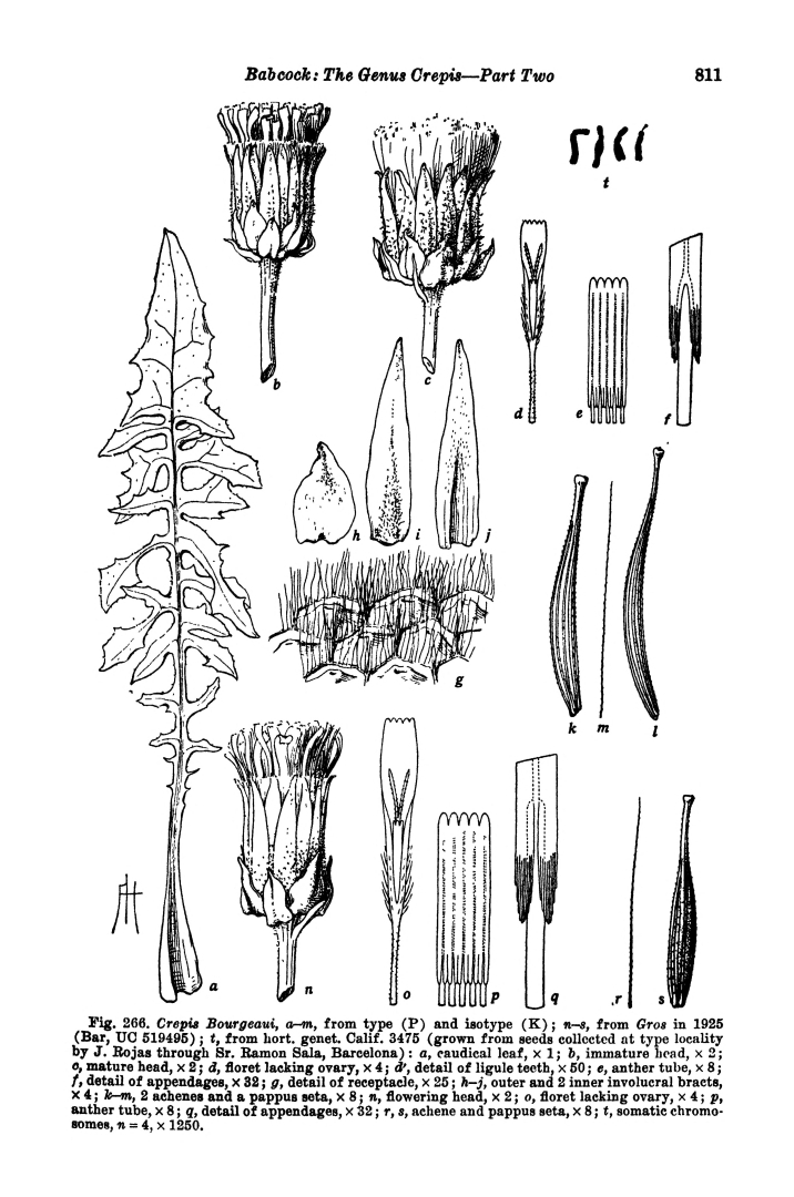 no HD illustration available (m5)