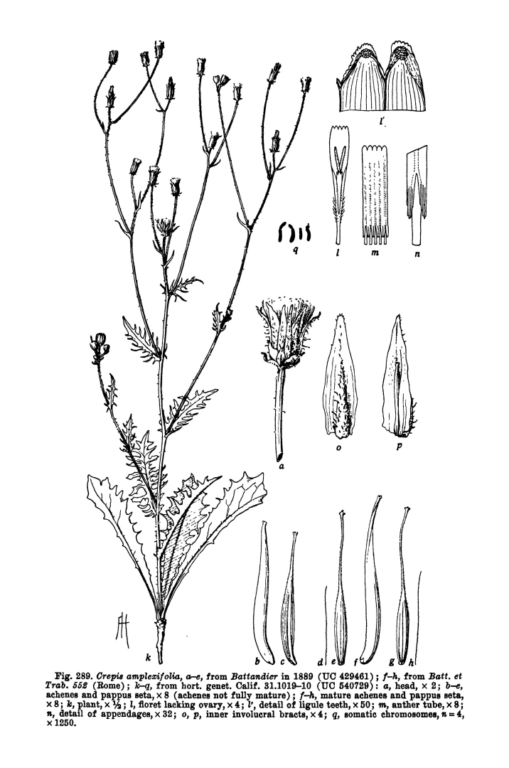 no HD illustration available (m5)