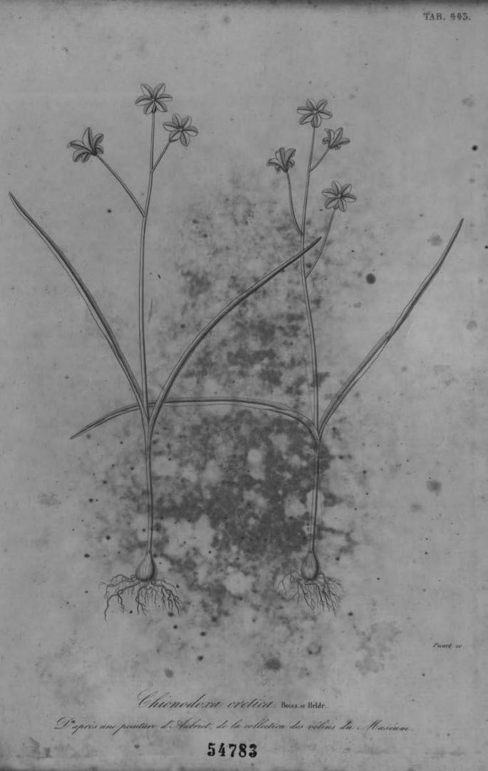 no HD illustration available (m5)