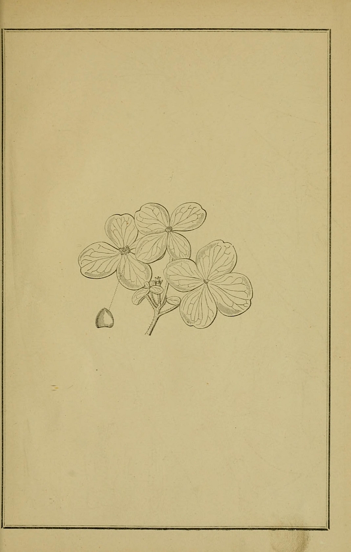 no HD illustration available (m5)