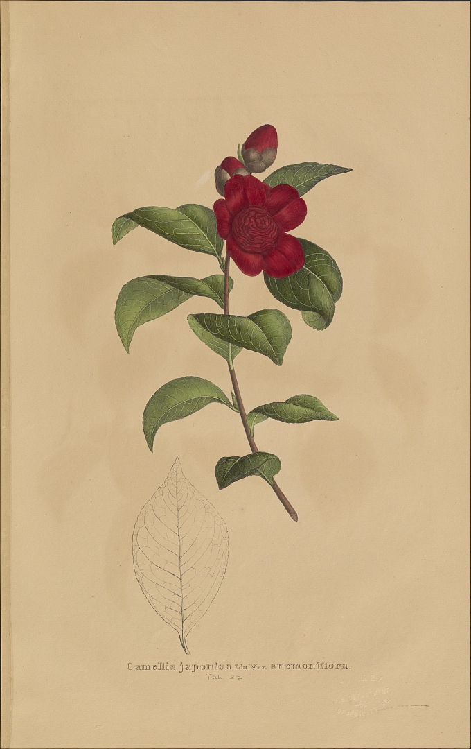 no HD illustration available (m5)