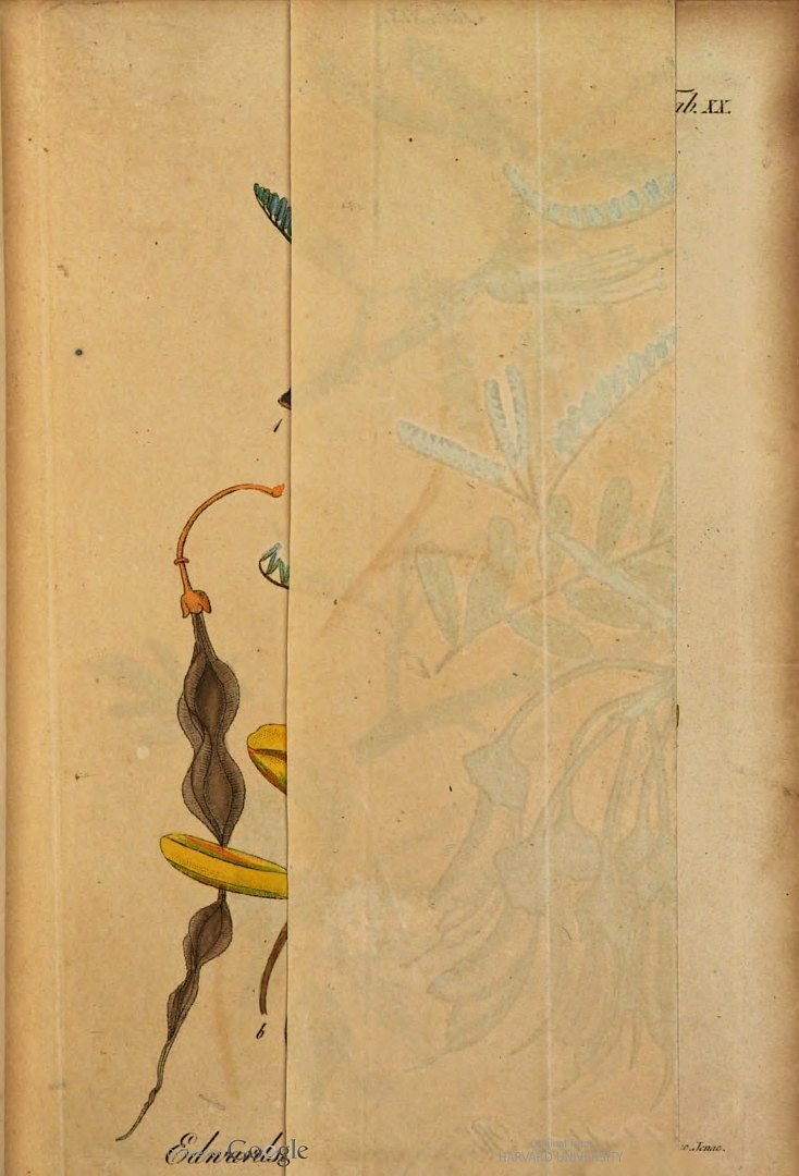 no HD illustration available (m5)