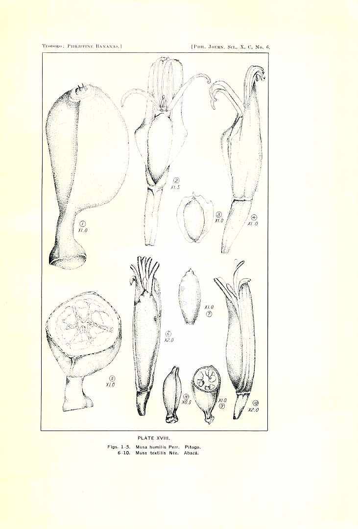 no HD illustration available (m5)