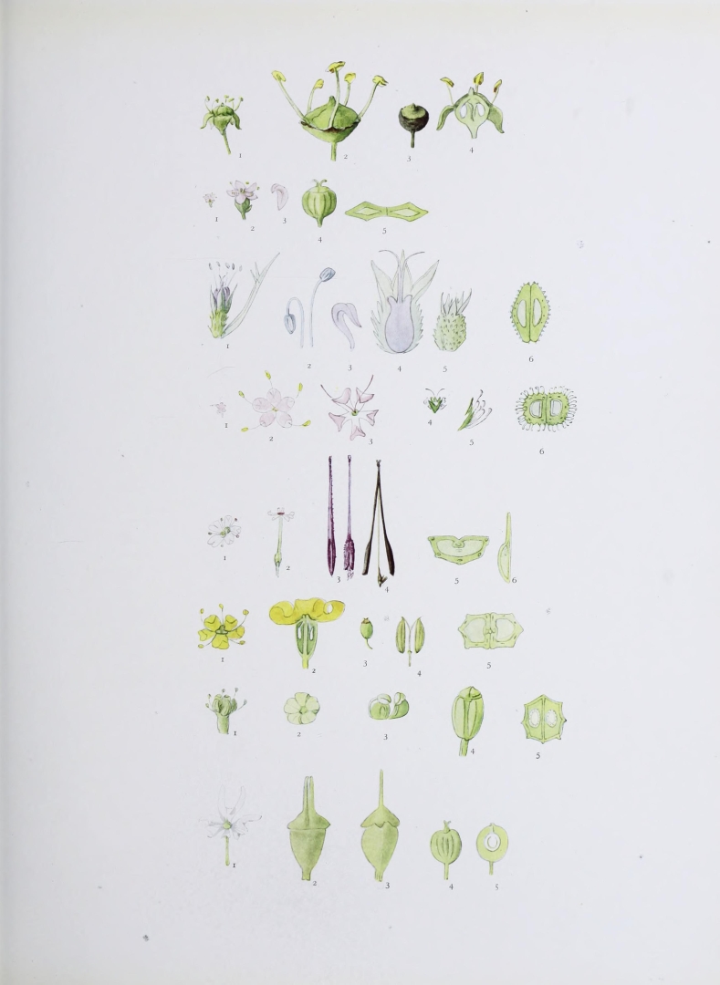 no HD illustration available (m5)