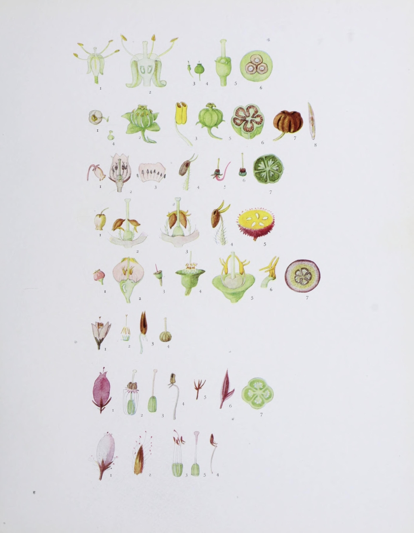 no HD illustration available (m5)