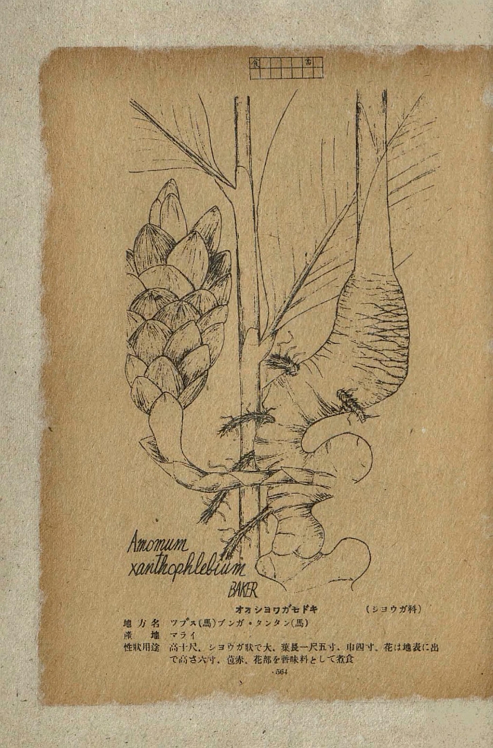 no HD illustration available (m5)