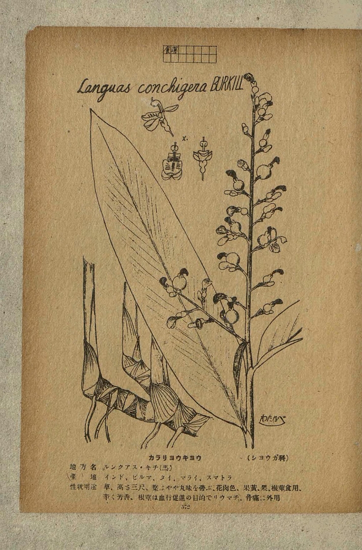 no HD illustration available (m5)