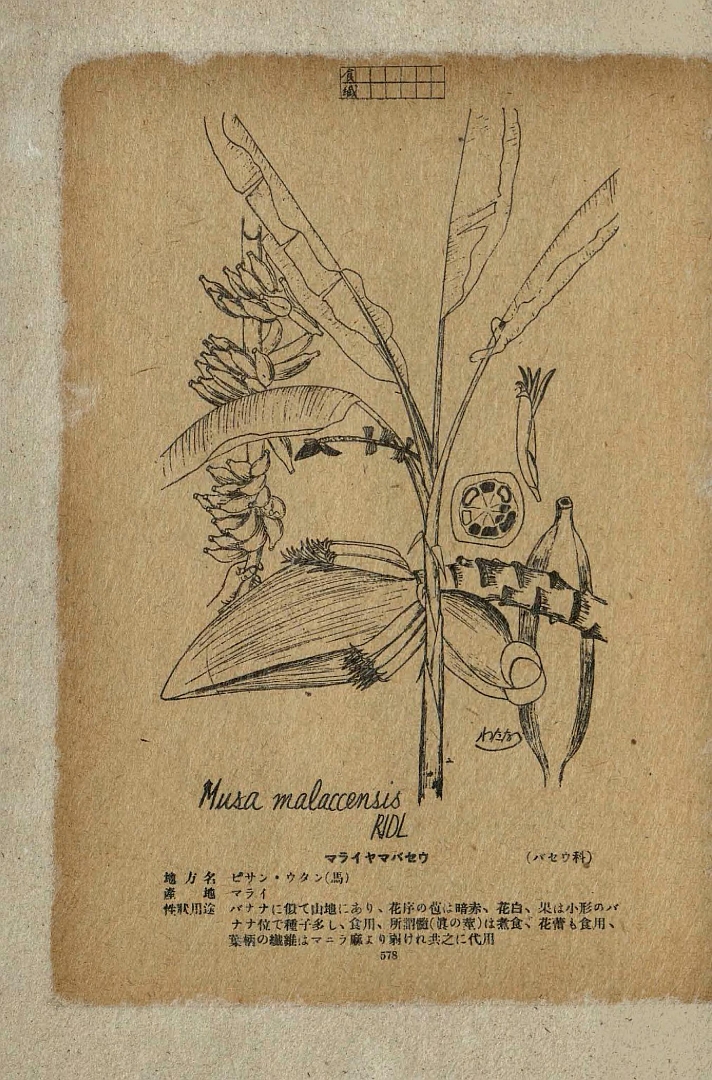 no HD illustration available (m5)