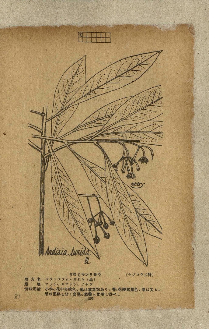 no HD illustration available (m5)