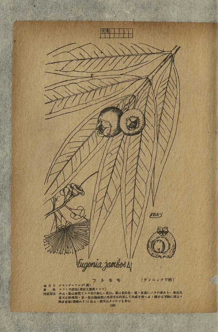 no HD illustration available (m5)