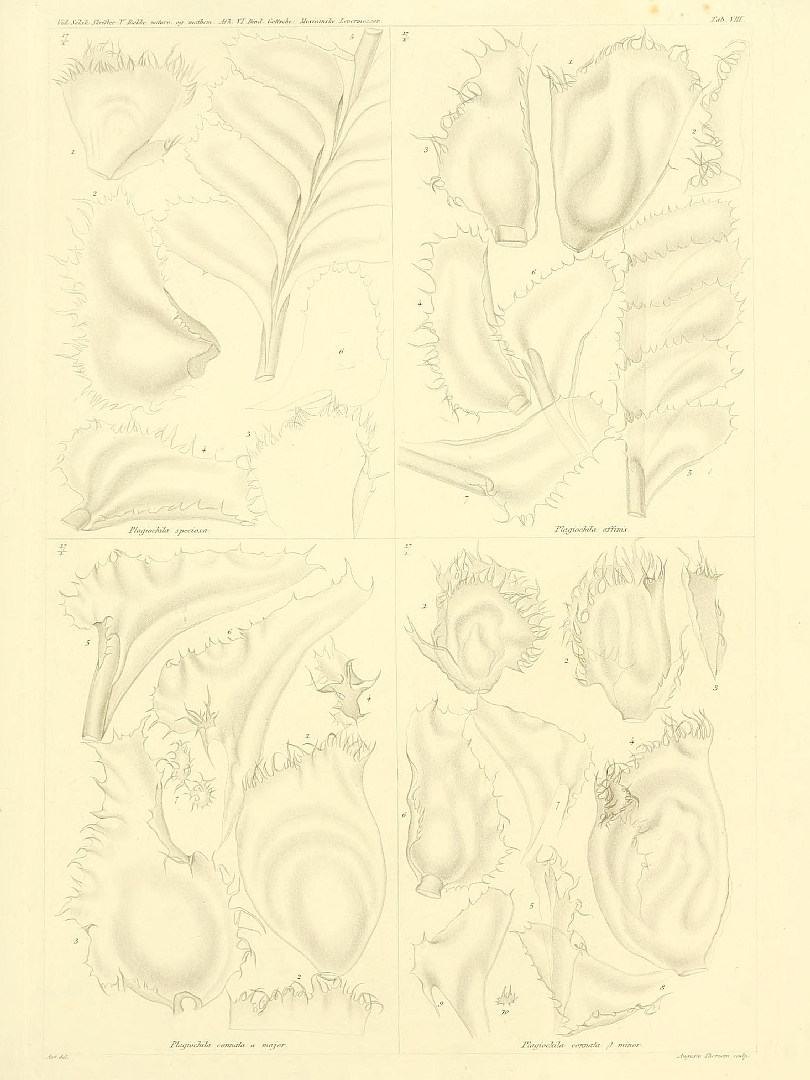 no HD illustration available (m5)