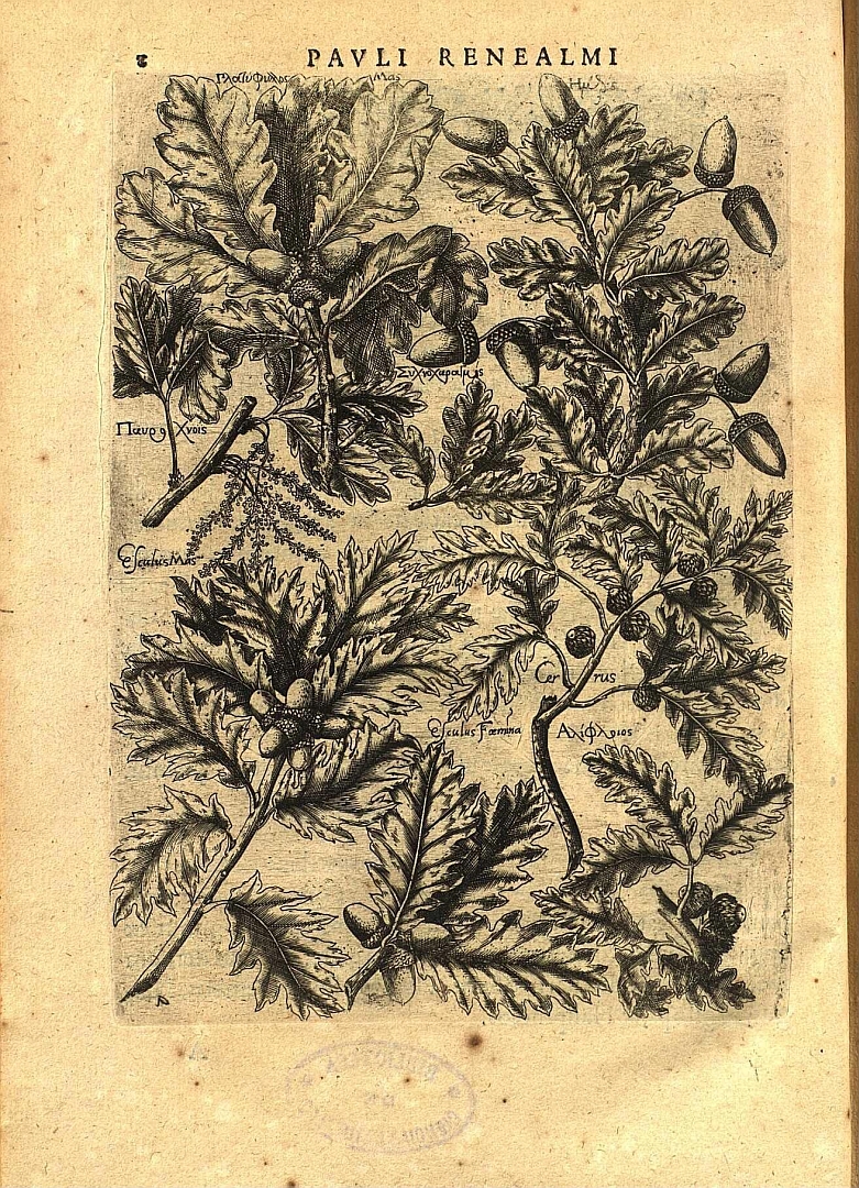 no HD illustration available (m1)