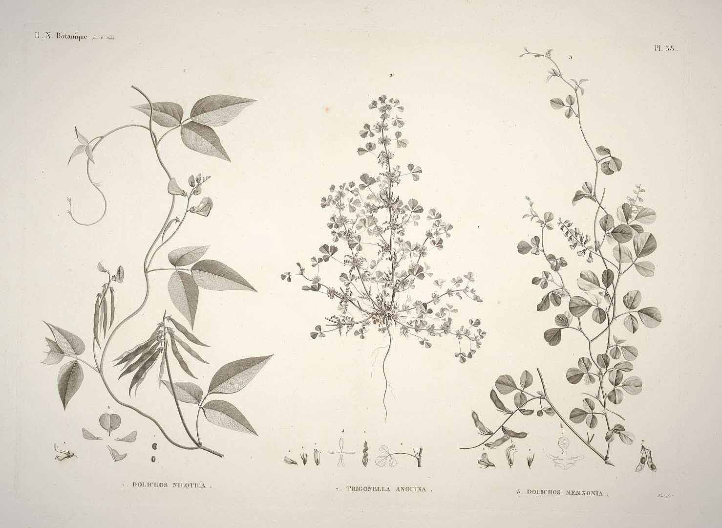 no HD illustration available (m5)