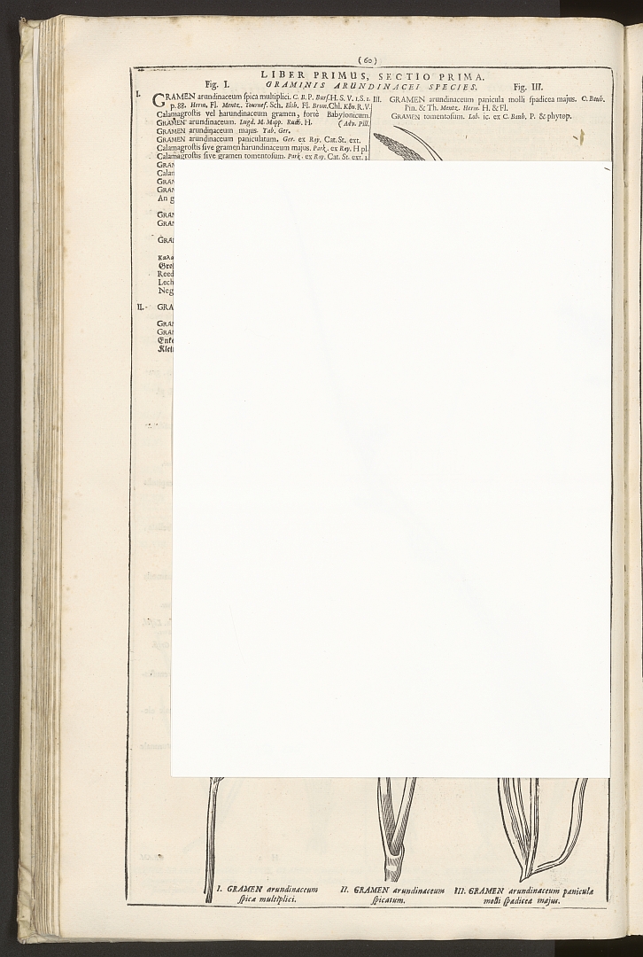 no HD illustration available (m5)