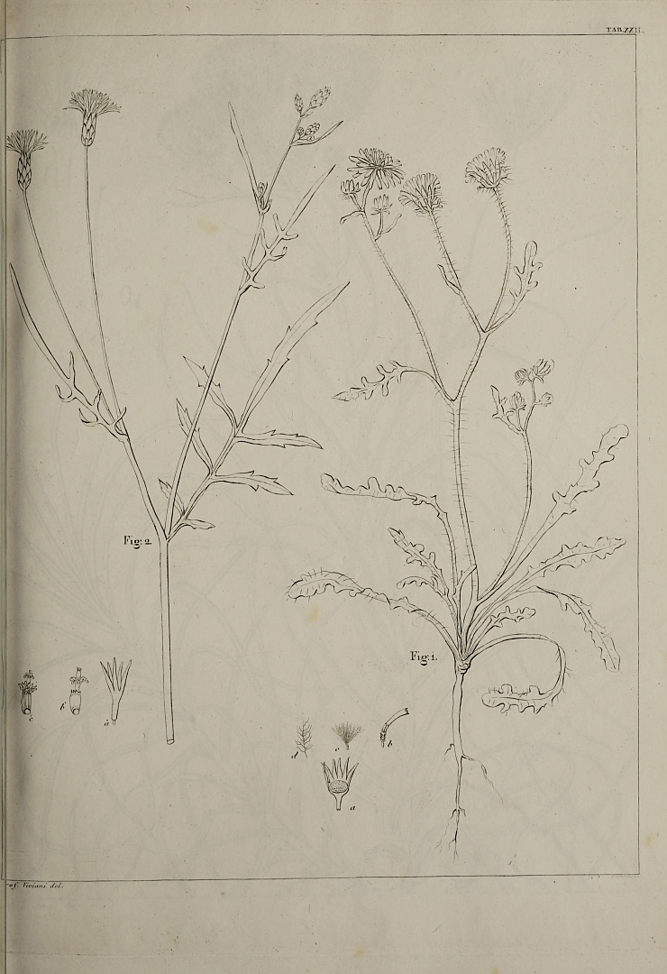 no HD illustration available (m5)