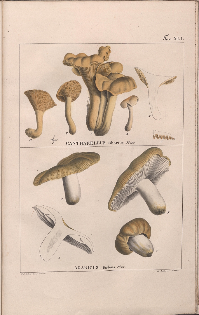 no HD illustration available (m5)